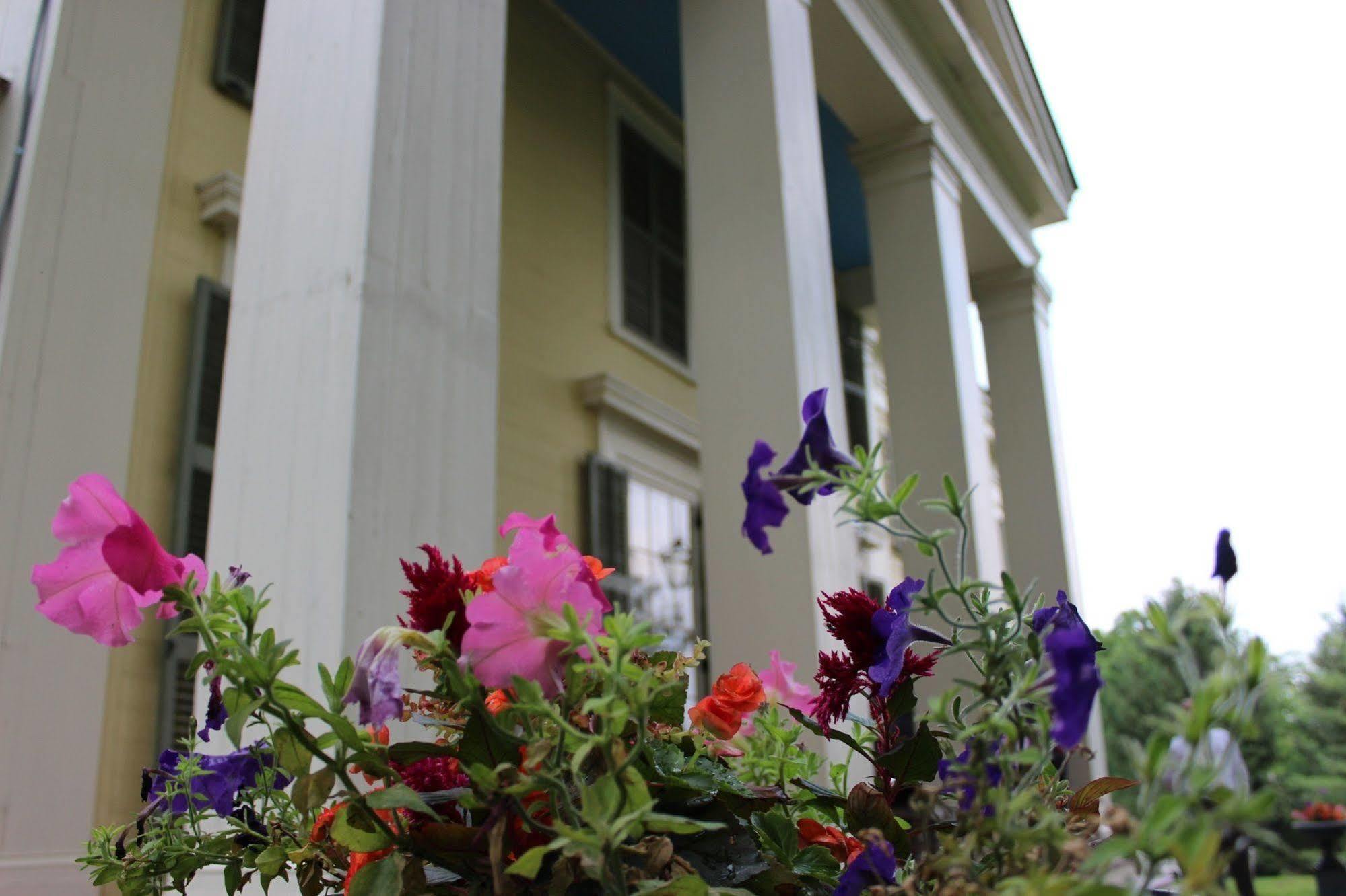 Oakcliff Bed And Breakfast Halfmoon Bagian luar foto